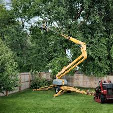 Tree and Shrub Care in Mcconnellstown, PA